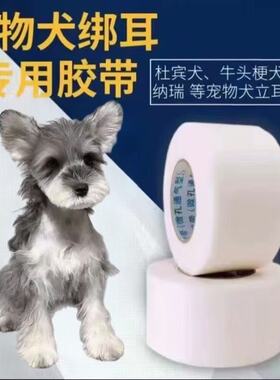 雪纳瑞柯基立耳贴立耳器柴犬小型幼犬约克夏立耳矫正器立耳辅助器