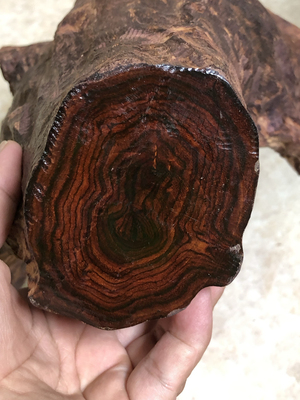 海南黄花梨野生老料紫油梨摆件雕刻收藏精品实心树头木料满纹6斤