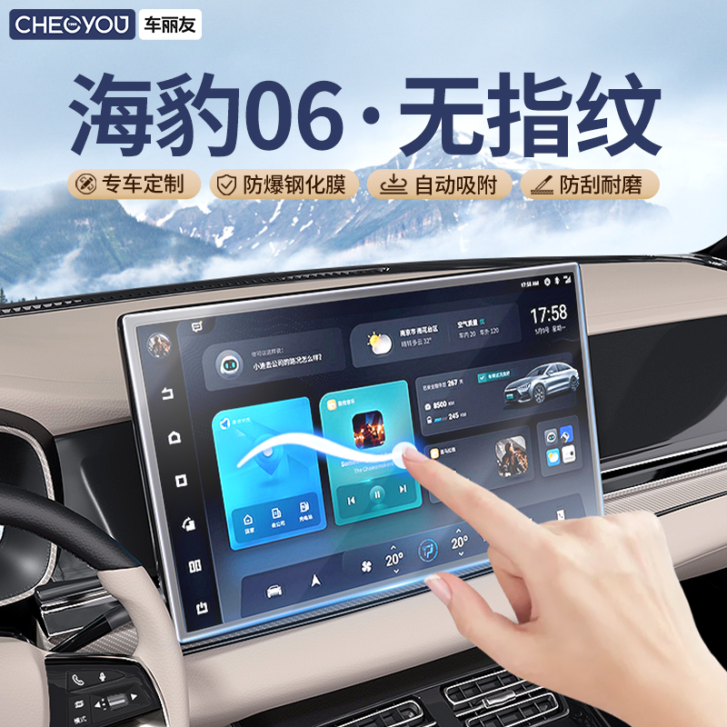 车丽友【海豹06dm】无指纹钢化膜