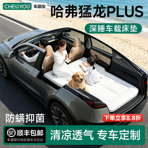 哈弗猛龙PLUS专用车载旅行床
