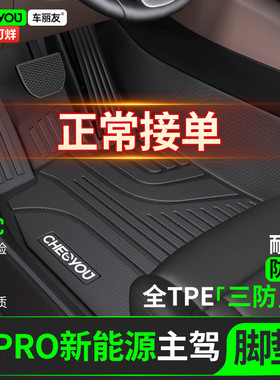 车丽友适用于比亚迪宋ProTPE主驾驶汽车脚垫25款宋Pro DM新能源