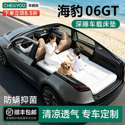 比亚迪海豹06GT专用车载旅行床