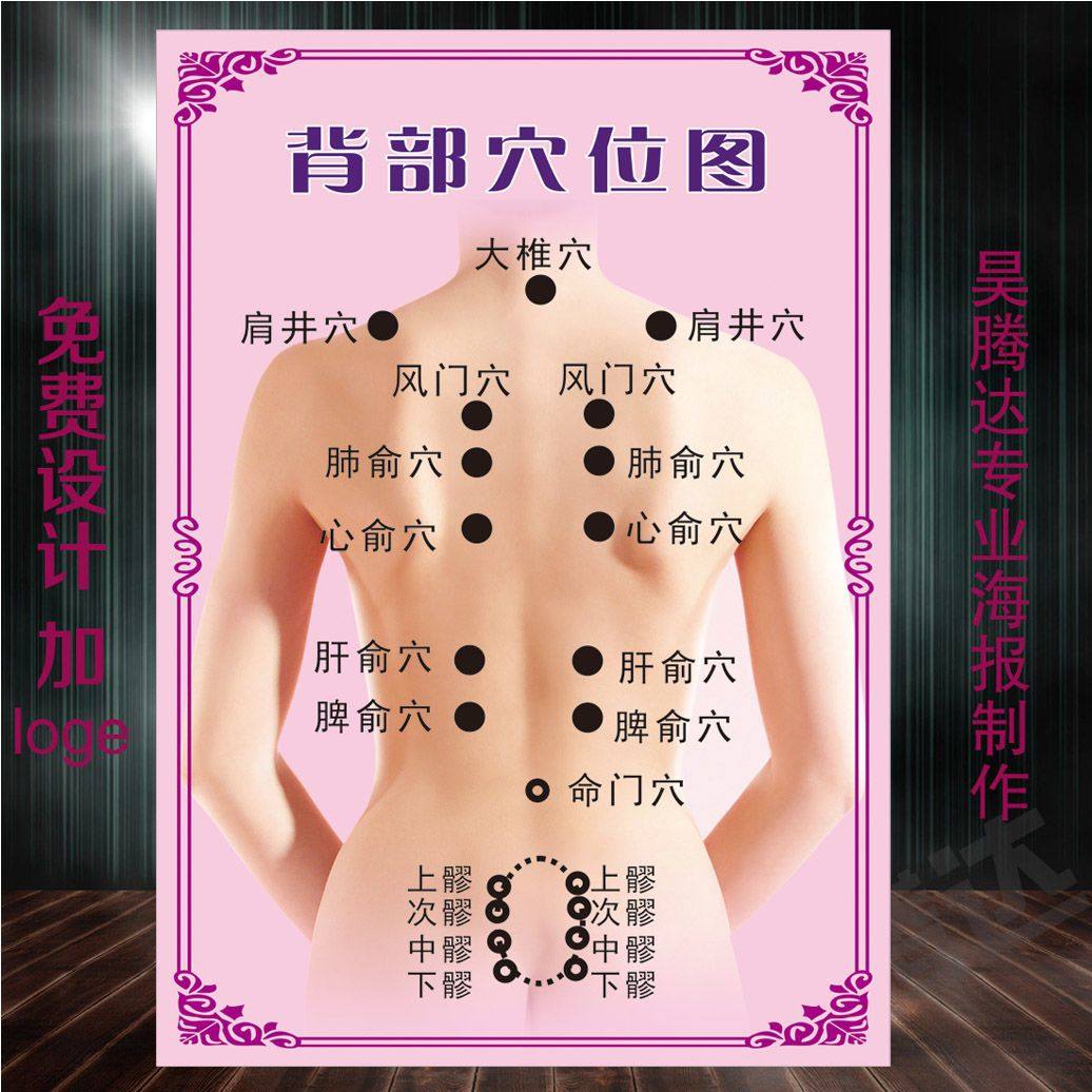 人体背部经络穴位图艾灸五脏六腑肩颈按摩海报中医养生馆宣传广告