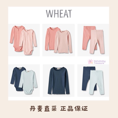 幼儿有机棉打底裤套装长袖包屁衣