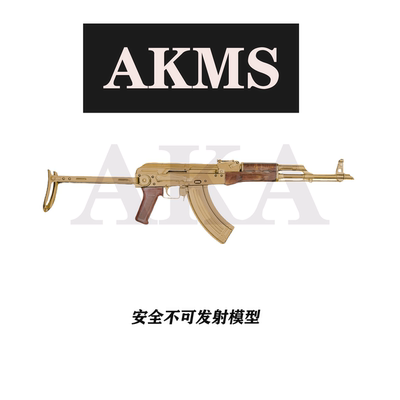 AKA实木AKMS电动玩具模型