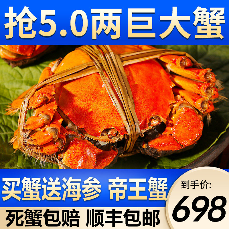 超巨大蟹5两清水大闸蟹现货鲜活特大公母海鲜水产螃蟹团购礼盒装在类目 水产肉类/新鲜蔬果/熟食, 海鲜/水产品/制品, 蟹类, 大闸蟹中 - 来自Buy2taobao.com提供专业的淘宝代购服务