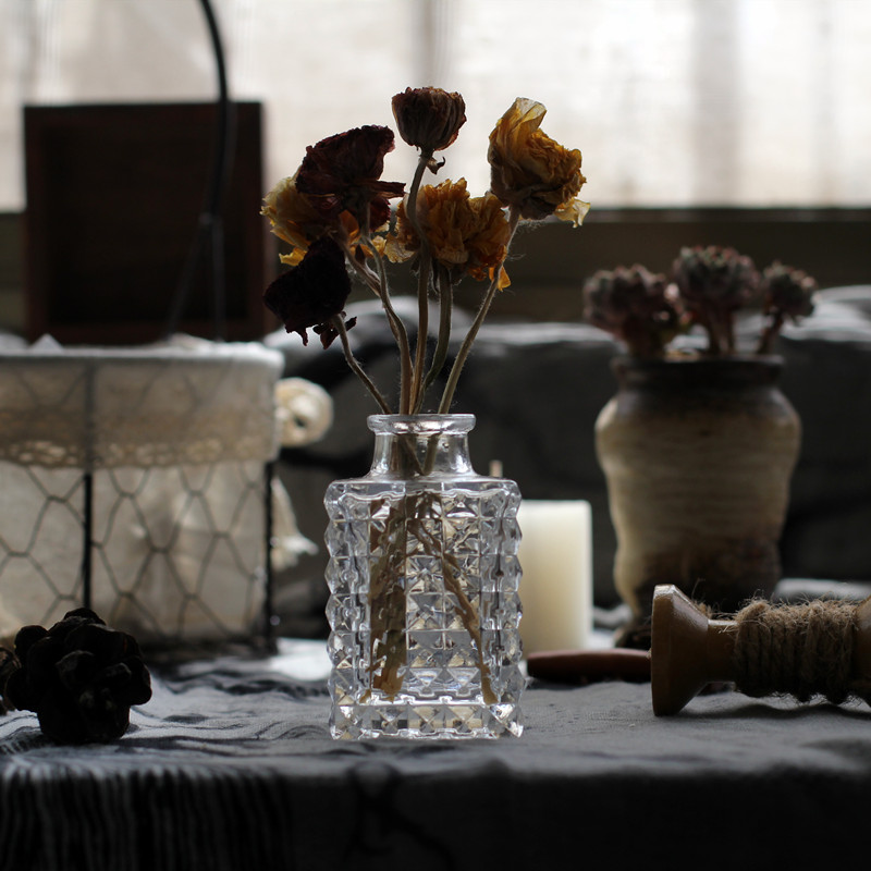 ins北欧迷你透明玻璃花瓶咖啡厅