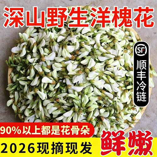 2026新鲜洋槐花现摘纯花骨朵