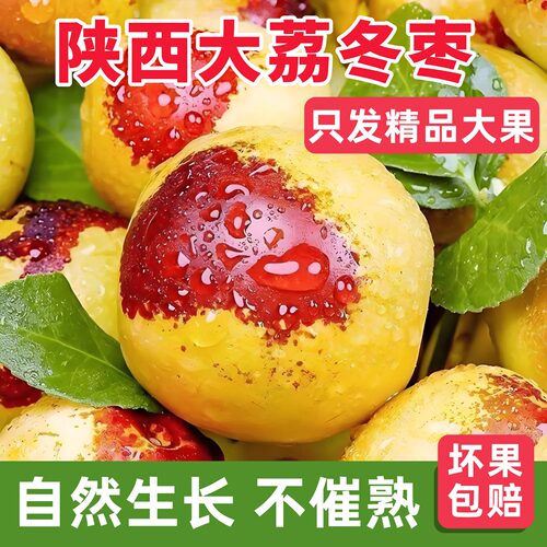 【农场直发】正宗陕西大荔冬枣