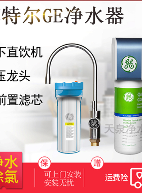 美国GE通用净水器滤芯CTO ATS2500 5000 VOC3000 6000 VIR1500 S
