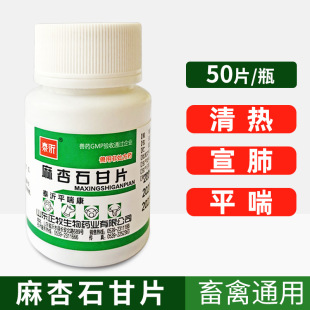 麻杏石甘片猫肺炎抽搐呼吸道狗狗气喘咳支气管炎咳嗽化痰止咳平喘