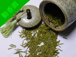 散装文县绿茶清香高山云雾茶新茶包邮