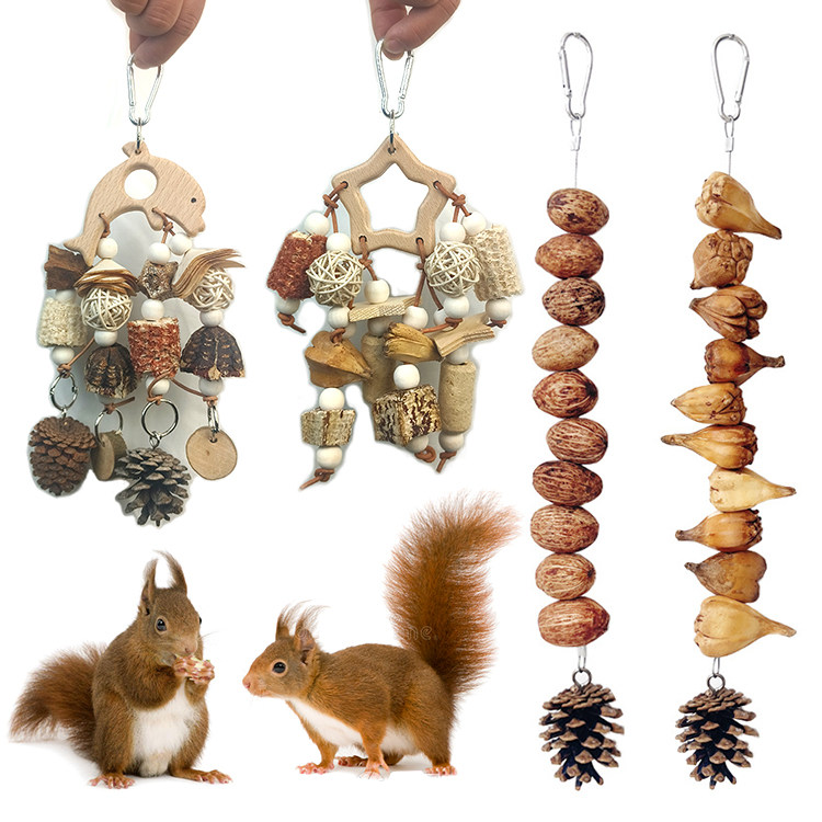 宠物小松鼠啃咬解压坚果松果磨牙棒专用解闷玩具笼子魔王用品大全
