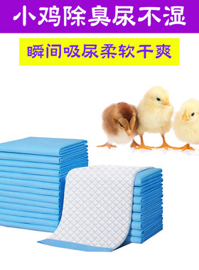 养小鸡专用隔尿垫尿不湿尿片