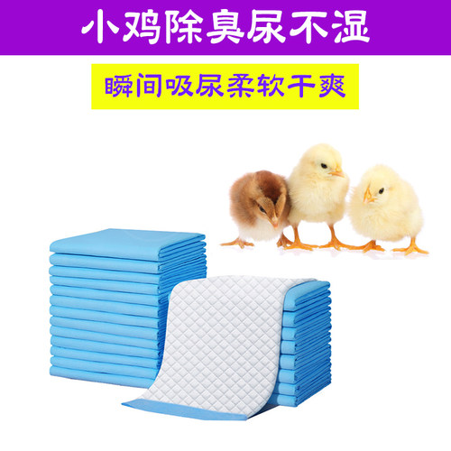 养小鸡专用隔尿垫尿不湿尿片