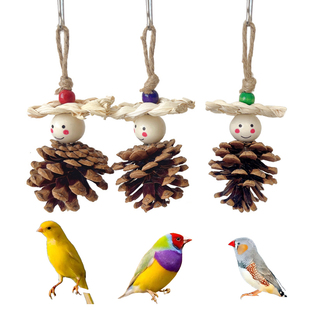 珍珠鸟专用玩具啃咬磨牙棒七彩文鸟芙蓉鸟金丝雀小鸟笼子挂件用品