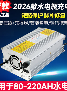 电动三轮车水电瓶48V60v72充电器