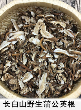 野生食用婆婆丁蒲公英根