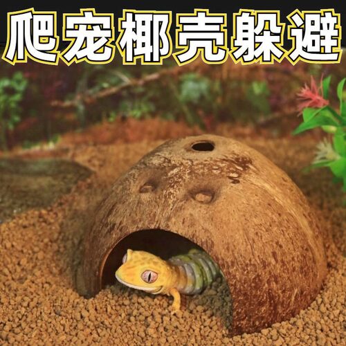 椰子壳躲避爬宠守宫蜥蜴乌龟角蛙蛇寄居蟹躲避屋爬虫蜘蛛仓鼠