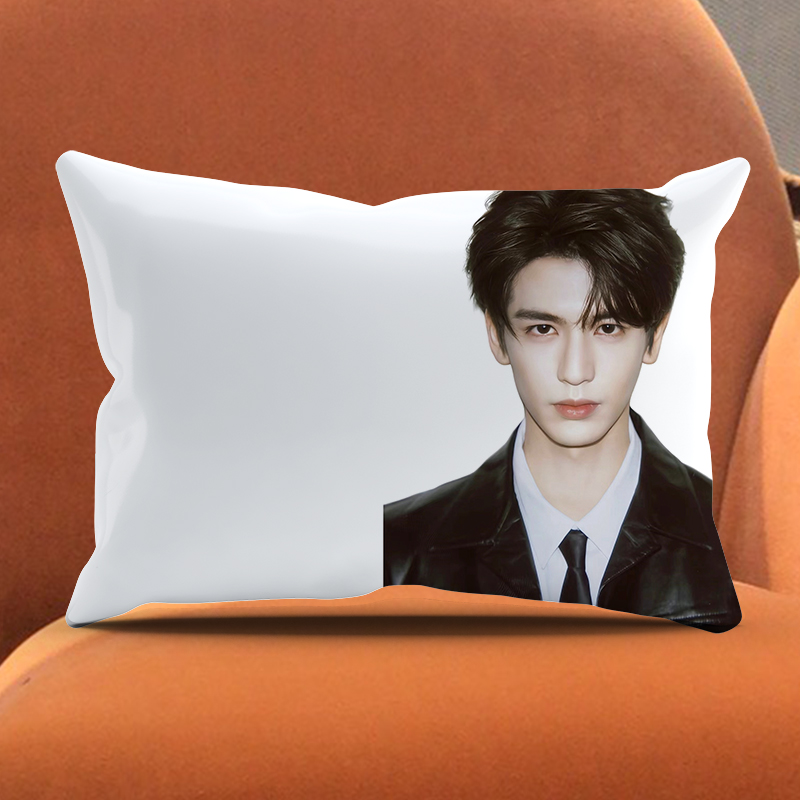 张凌赫抽象抱枕DIY来图定制情侣搞笑侯明昊靠白底枕头套诡秘礼物