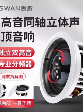 Hivi/惠威 VR6-SC定阻同轴吸顶立体环绕背景音乐公共广播吊顶音箱