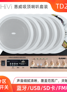 Hivi/惠威 TD201定压背景音乐吸顶喇叭嵌入式公共广播店铺音响