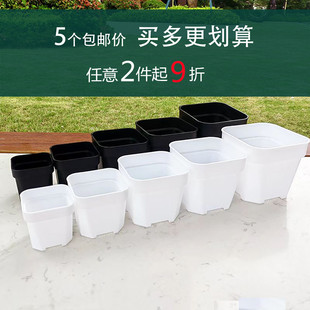 加厚小白方盆多肉花盆黑方塑料浅方盆仙人球专用盆肉锥盆 包邮