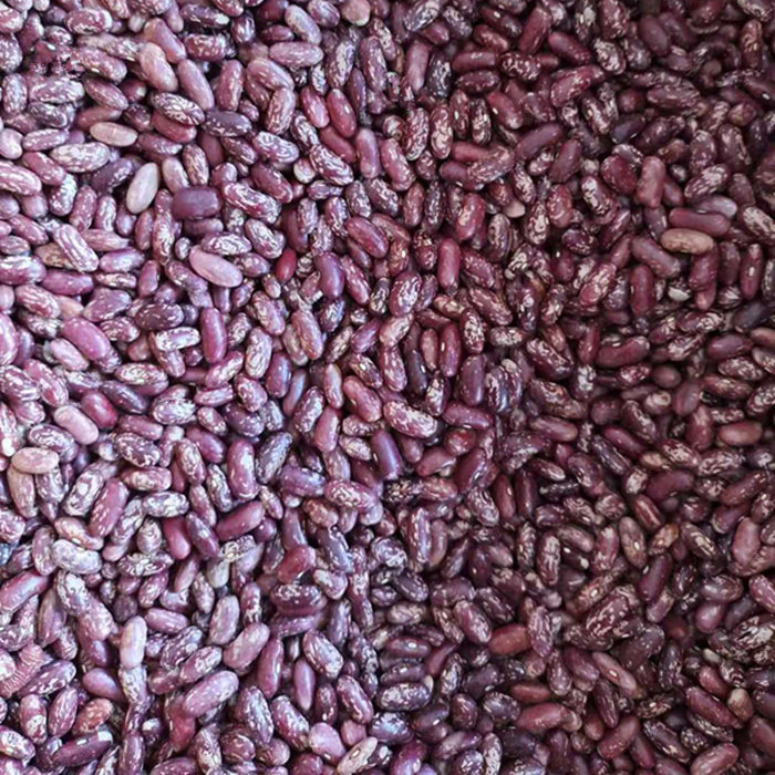 东北红芸豆红花芸豆红腰豆黑龙江牡丹江特产