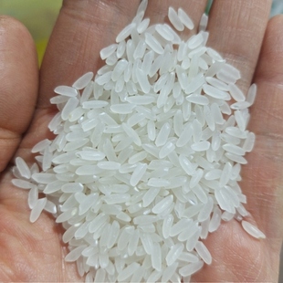 东北2024年新米长粒米中科发五黑龙江石板大米渤海牡丹江宁安