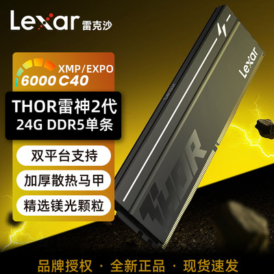 雷克沙雷神2代24G 6000 C40 DDR5台式机电竞马甲内存条XMP EXPO