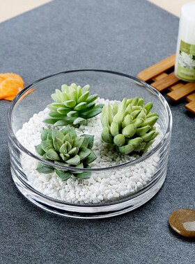 圆形金鱼缸铜钱草睡莲玻璃花瓶