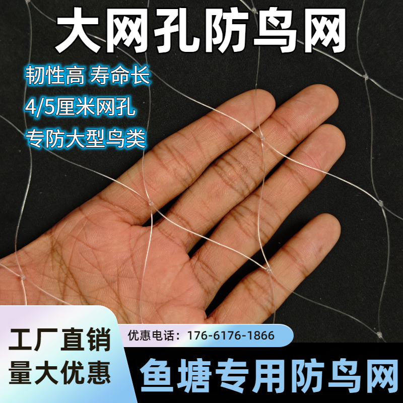 鱼塘防鸟的网围网防逃丝网护保护果树大棚池塘稻田大网孔养殖专用