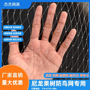 防鸟网果树果园樱桃葡萄梨树草莓鱼塘户外大棚尼龙线养殖网专用