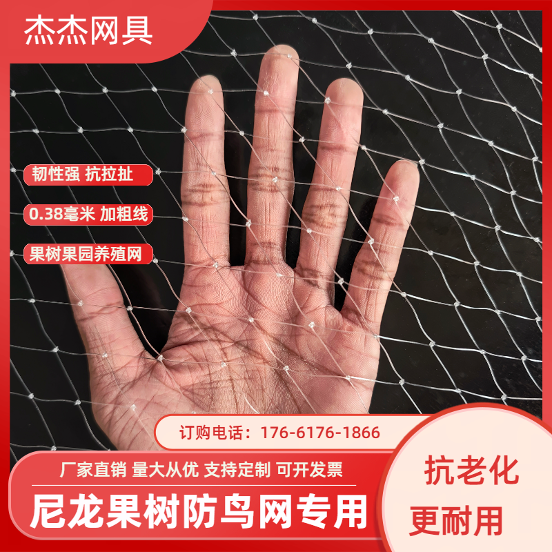 防鸟网果树菜园鱼塘户外大鹏专用