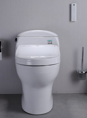 TOTO智能马桶CW988REB+TCF7912ECS+4901+4911即热式一体坐便
