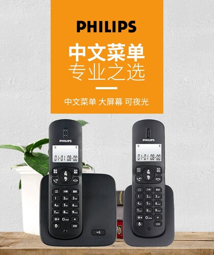 一拖一无绳飞利浦一拖二186无线