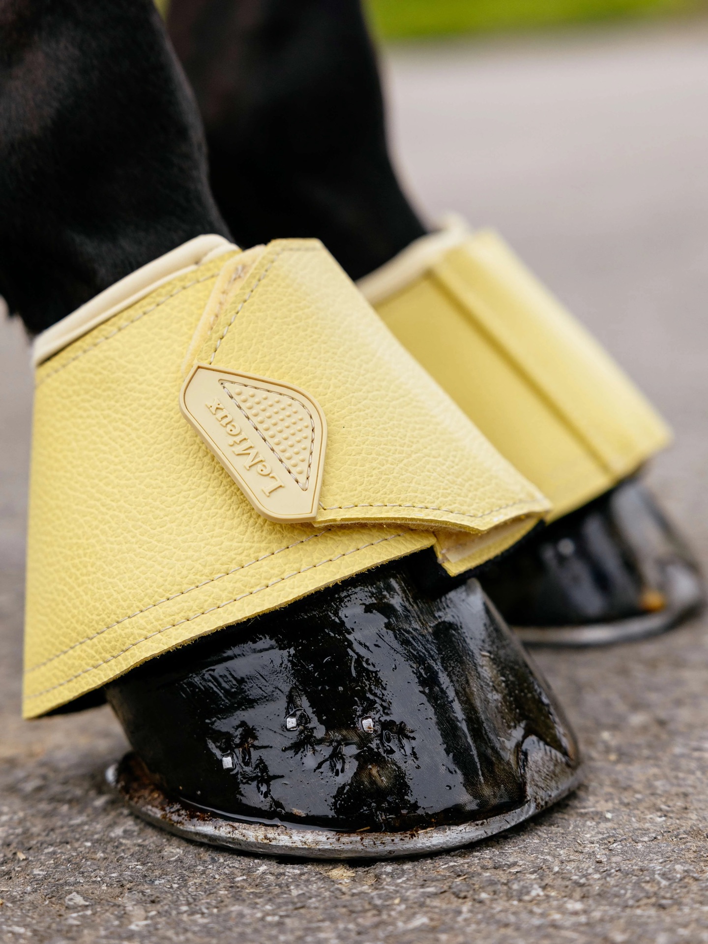 英国LeMieux马护蹄多色可选