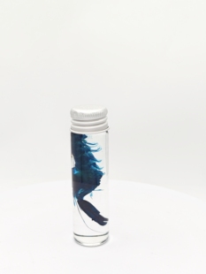 透明嘎巴虾(鼓虾)瓶装标本科普陈列生物课实验室办公自然搜藏