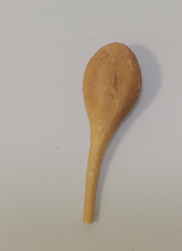 猫膀胱标本畜牧兽医宠物健康医学技能提高教学沟通收藏摆件