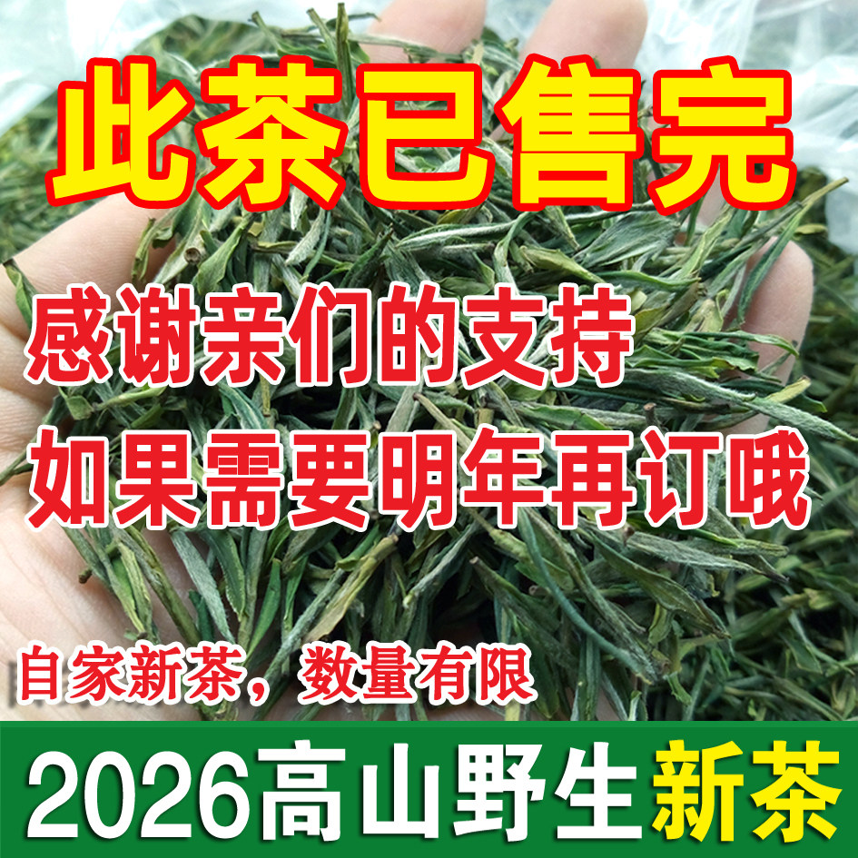 2026新茶野生茶安徽绿茶毛尖春茶宣城溪口高山茶叶清香甘甜250g