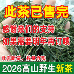 2026新茶野生茶安徽绿茶毛尖春茶宣城溪口高山茶叶清香甘甜250g