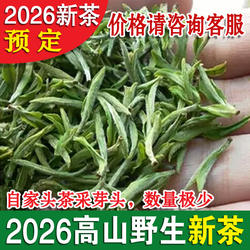 预售2026年头茶明前新茶绿茶野生茶安徽宣城溪口高山茶叶毛尖清香
