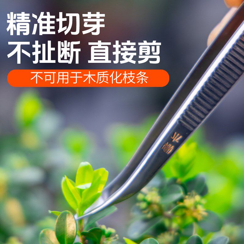 速发修剪小枝修枝剪刀制作木盆景镊芽切芽鼎工具剪摘芽叶剪叶芽剪_虎窝淘