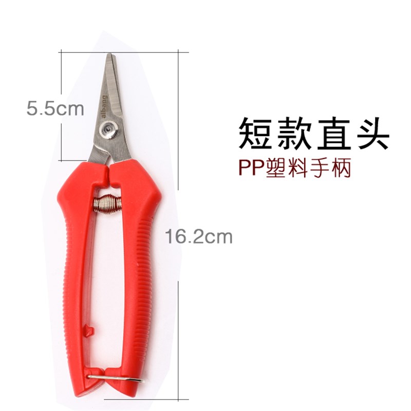 现货速发葡萄剪修枝剪园艺采果芽剪柑橘子修花稀果摘果水果蔬果剪