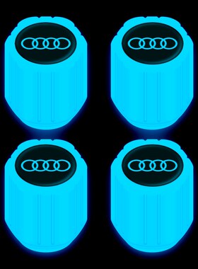 速发适用于A5L A4  Q6L ALQ Q2L Q7  A7夜光汽车气门嘴帽