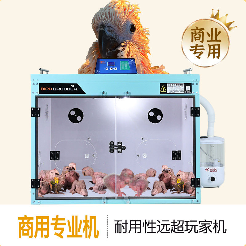 鹦鹉幼鸟专用育雏保温箱玄凤牡丹雏鸟恒温急救中号AODL63鹦鹉笼子