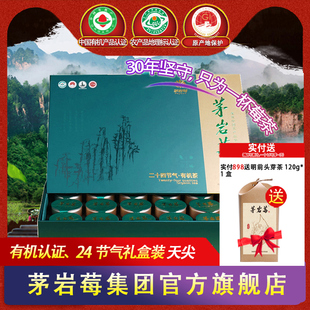 茅岩莓茶张家界莓茶藤茶嫩芽芽尖有机莓茶放野生养生莓茶礼盒96g