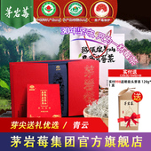 茅岩莓茶张家界特产莓茶养生茶嫩叶芽尖土家茅岩莓茶礼盒装 120g