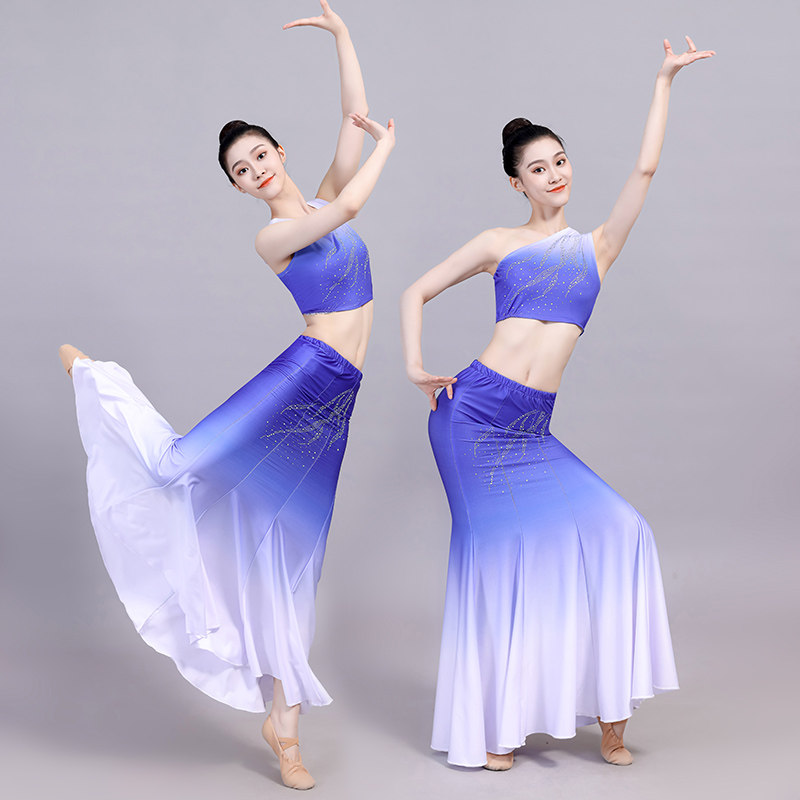 速发西双版纳傣族舞蹈服装成人演出服练功舞裙孔雀舞艺考鱼尾半身