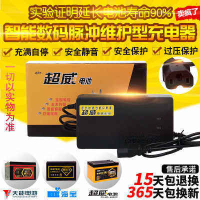 速发电动两轮三轮电瓶车V用6V12AH08通24AH602AH64V72伏